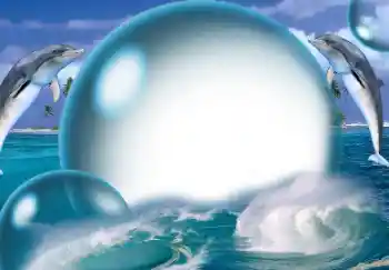 Photo effect from category Summer № 138513