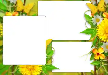 Photo effect from category Summer № 138523