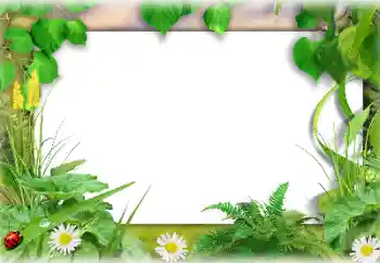 Photo effect from category Summer № 138647