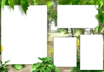 Photo effect from category Summer № 141163