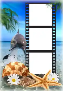 Photo effect from category Summer № 142225