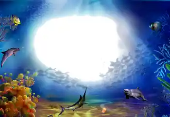 Photo effect from category Summer № 142470