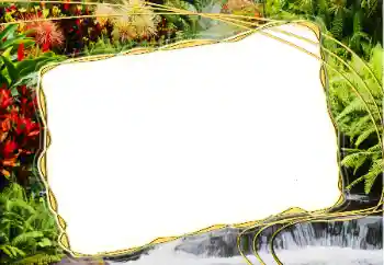 Photo effect from category Summer № 14917