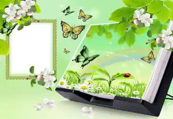 Photo effect from category Summer № 150647