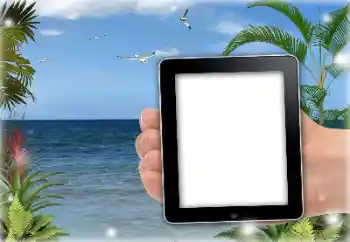 Photo effect from category Summer № 151651