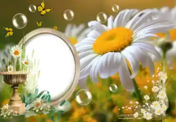 Photo effect from category Summer № 153157