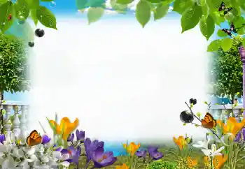 Photo effect from category Summer № 153205