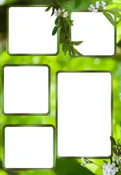 Photo effect from category Summer № 153242