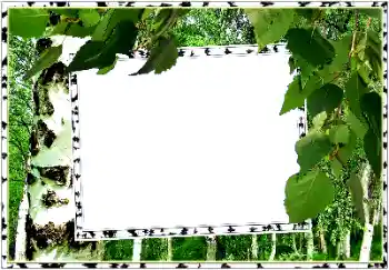 Photo effect from category Summer № 154334