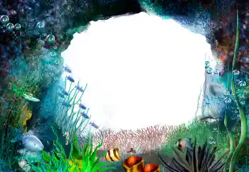 Photo effect from category Summer № 155944