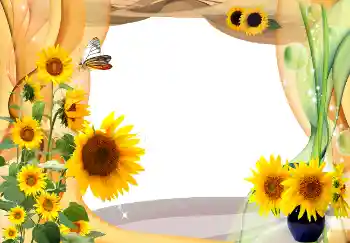 Photo effect from category Summer № 1566 Photo effect from category Summer № 1566