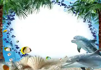 Photo effect from category Summer № 1580