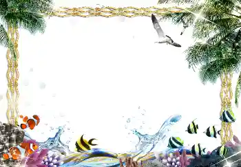 Photo effect from category Summer № 1583