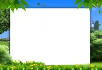 Photo effect from category Summer № 158421