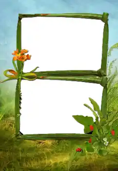 Photo effect from category Summer № 160630