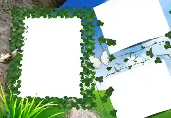 Photo effect from category Summer № 160662