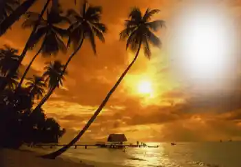 Photo effect from category Summer № 164793 Photo effect from category Summer № 164793