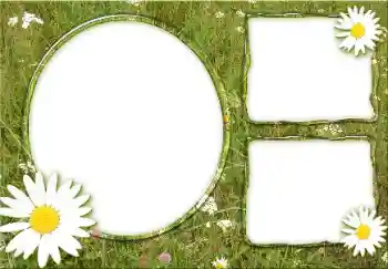 Photo effect from category Summer № 166475