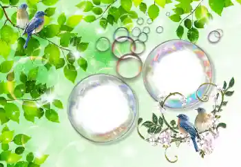 Photo effect from category Summer № 167832