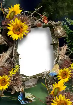 Photo effect from category Summer № 167902