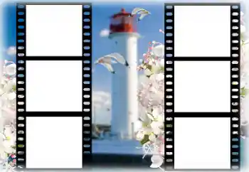 Photo effect from category Summer № 167969