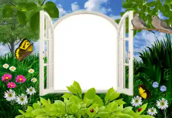 Photo effect from category Summer № 16945