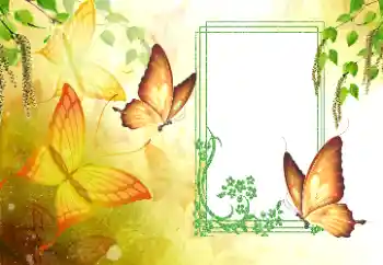 Photo effect from category Summer № 179561