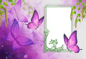 Photo effect from category Summer № 179562