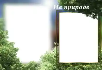 An inscription on the frame: On the nature