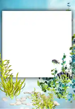 Photo effect from category Summer № 182182