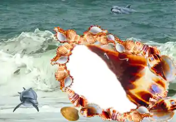 Photo effect from category Summer № 20185 Photo effect from category Summer № 20185