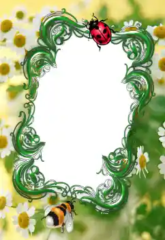 Photo effect from category Summer № 2253 Photo effect from category Summer № 2253