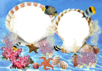 Photo effect from category Summer № 23210 Photo effect from category Summer № 23210