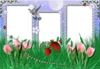 Photo effect from category Summer № 2396 Photo effect from category Summer № 2396