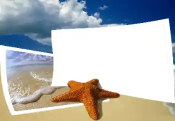 Photo effect from category Summer № 25435 Photo effect from category Summer № 25435