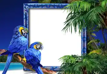 Photo effect from category Summer № 26552