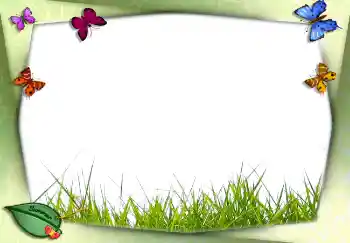 Photo effect from category Summer № 2756 Photo effect from category Summer № 2756