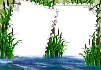 Photo effect from category Summer № 31862