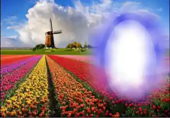 Photo effect from category Summer № 36251