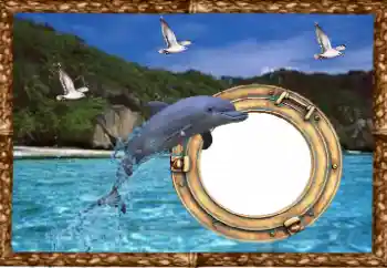 Photo effect from category Summer № 38477