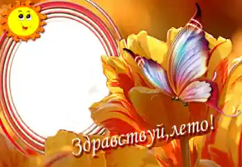 An inscription on the frame: Hello summer!