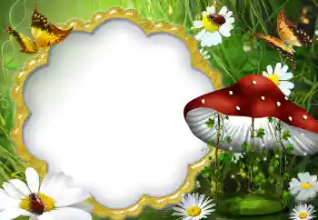 Photo effect from category Summer № 5072 Photo effect from category Summer № 5072