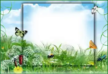 Photo effect from category Summer № 50891