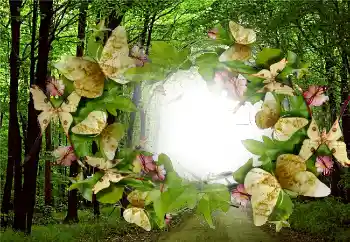 Photo effect from category Summer № 5287 Photo effect from category Summer № 5287