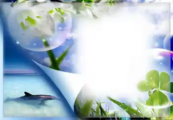 Photo effect from category Summer № 67330