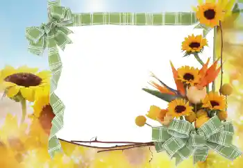 Photo effect from category Summer № 68445