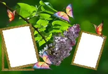 Photo effect from category Summer № 81627