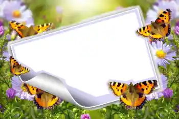 Photo effect from category Summer № 83943