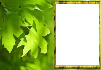 Photo effect from category Summer № 88033