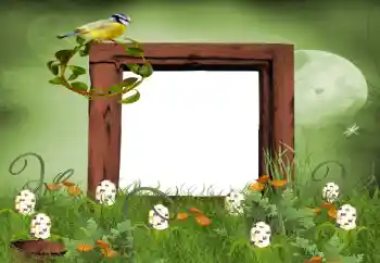 Photo effect from category Summer № 9650 Photo effect from category Summer № 9650